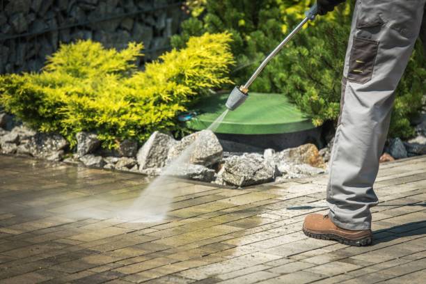 Animal Enclosure Cleaning in Forestville, MD