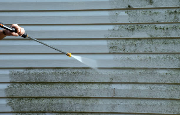 Best Patio and Deck Pressure Washing  in Forestville, MD